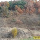 부용부동산공인중개사무소 이미지