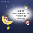 매일문구서점 이미지