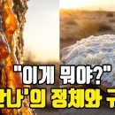 “홍해의 기적보다 더 놀라운 40년의 기적 : 우리가 몰랐던 '만나'의 '정체'와 '규칙'” 이미지