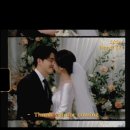 W.본식 아이폰스냅예약: 씨즈더데이스냅 | 계약후기