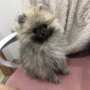 토곡동물병원 이미지