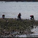 정든식당 이미지