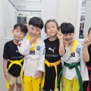 남도 태권도장 이미지