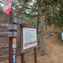 북영덕농협 축산항지점 네이버블로그