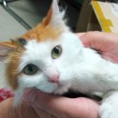 한국통신 옆 이미지