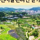 함평천지길 이미지