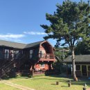 대천통나무소나무펜션 이미지