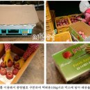 숙이농원 - 용인시 처인구 보개원삼로1924번길 5 | 숙이농원