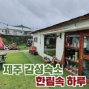 한림속 하루 이미지