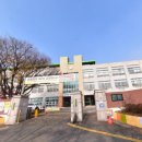 신안초등학교정문 앞 이미지