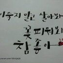 아트펜 캘리그라피 이미지
