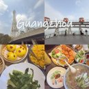 타오 | 중국 여행 광저우 맛집 타이거 프라운+타오타오쥐 딤섬+타워 후기 !