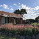 페퍼민트민박 이미지