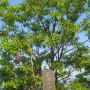 강진-26 | #26 강진 만덕산 완등 20230510