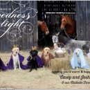 (주)견공 이미지