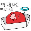 펫스티발 이미지