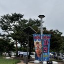 싸코 | 매해 여름은 싸이흠뻑쇼 DAY! 흠뻑쇼 준비물, 꿀팁 (feat. 2025년 싸이콘서트 과천 후기)