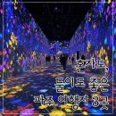 NR-3[평화로]-하-69 | 비 오는 날도 걱정 없는 파주 명소 3곳 (혼행/데이트코스 추천)