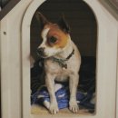 태극 당구장 이미지