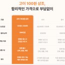 고이장례연구소 | 가입 고민 중이시라면? 따져보고 비교해 보니, 위약금 없는 고이 100원 상조 추천 [구조와 비용 총정리]
