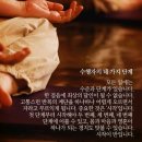 샨띠