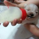 토리벼리