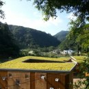 곰배누리 이미지