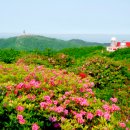 소백산에서 이미지