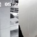 부비부비