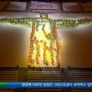 제우스(zeus) 이미지