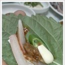 고흥맛집 이미지