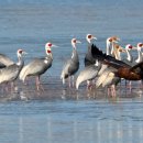 주남저수지 이미지