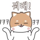 구립교향악단 100회 정기연주회 이미지