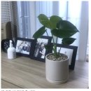 (주)백락온 | 26년4월 일상