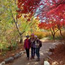 오산회 194회 대구수목원, 팔공산(파계사) 산책(2022.11.1) 이미지