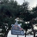 공산성 회전교차로 옆 이미지