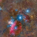 오리온(Orion)과 호스헤드 성운(Horsehead Nebula)의 심장부로 떠나는 여행을 떠나보세요 이미지