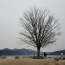 강가에서 이미지