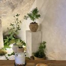 백운 | 광주 백운동 신상카페 백운커피 가오픈 기간 방문 후기