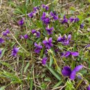 바른한줄 이미지