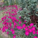 황승욱K유외과의원 | 뇌하수체종양 수술후(6개월) 나의 일상/햇살상점/유방갑상선 황승욱k유외과