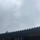 세 번째 기록 | 창덕궁과 서울대 규장각 답사