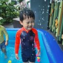 단꿈어린이집 이미지