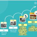 로이스제일치과병원 | 안동시 임플란트 상담후기