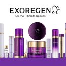 엑소리젠토탈뷰티