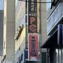 고양이 마을 | 서울 고양이 카페 길고양이마을 성수협력점 힐링 후기