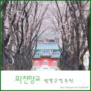 화천향교 | 26년 화천 벚꽃구경 추천 화천향교 현재 개화상황