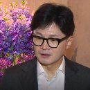 국힘 관계자 "광복회장은 日극우 기쁨조" ytn 이미지