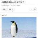 아싸