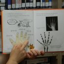 반딧불작은도서관 이미지